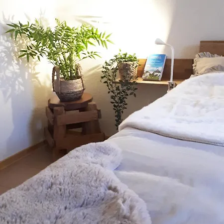 Meerzeit In Schoenhagen Brodersby-Goltoft